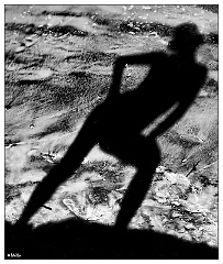 O - Shadow Model II